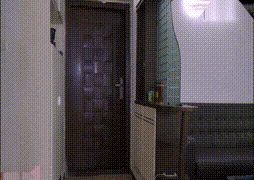 女警官和小偷的故事