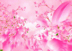 【樱束原创】《挑战极限SP的小PP》妮娜自认自己臀部肉结实耐造，要求挑战极限SP，结果含泪求饶