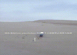 沙漠绿洲 完整版