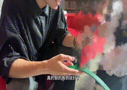 不可饒恕的女僕（21分鐘）